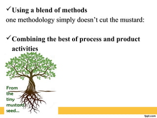 Using a blend of methods
one methodology simply doesn’t cut the mustard:one methodology simply doesn’t cut the mustard:
Combining the best of process and product
activities
 
