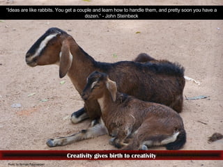 Creativity gives birth to creativity “ Ideas are like rabbits. You get a couple and learn how to handle them, and pretty s...