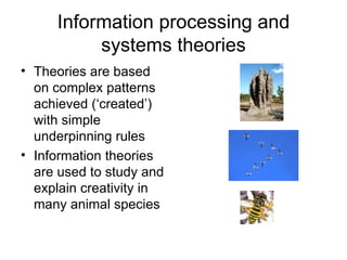 Information processing and systems theories Theories are based on complex patterns  achieved (‘created’) with simple underpinning rules Information theories are used to study and explain creativity in many animal species 