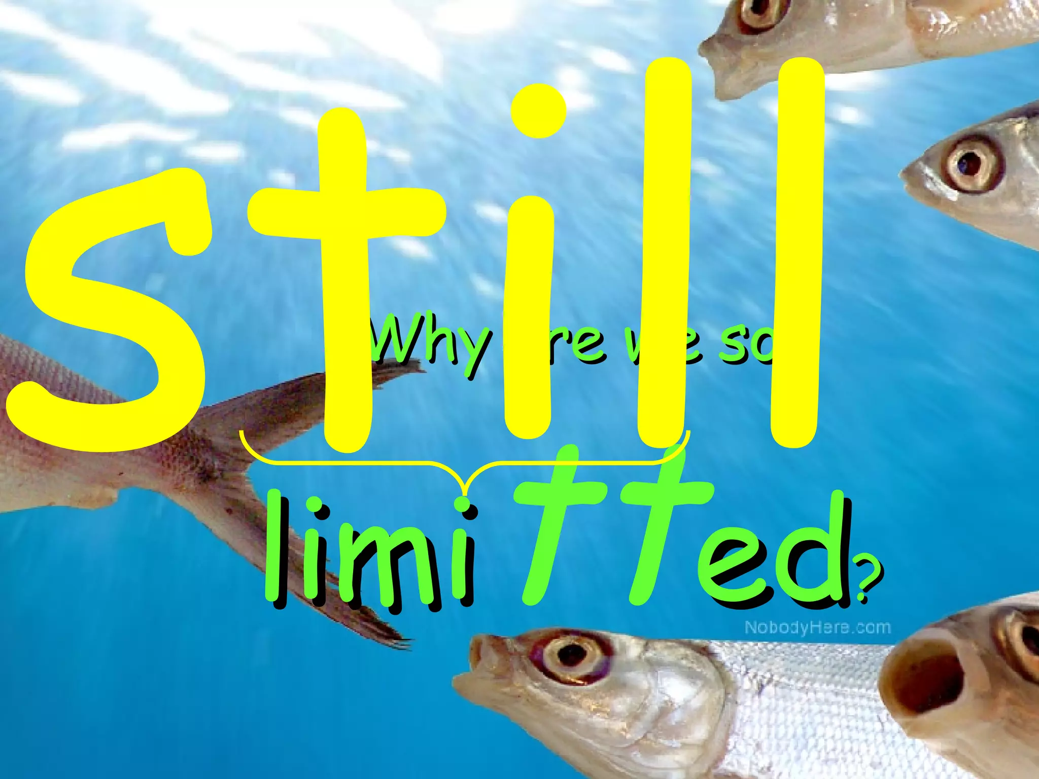 Why are we so  limi tt ed ? still 