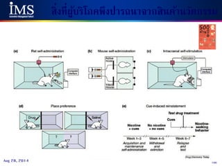 106Aug 28, 2014
สิ่งที่ผู้บริโภคพึงปารถนาจากสินค้านวัตกรรม
 