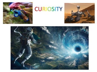CURIOSITY 
 