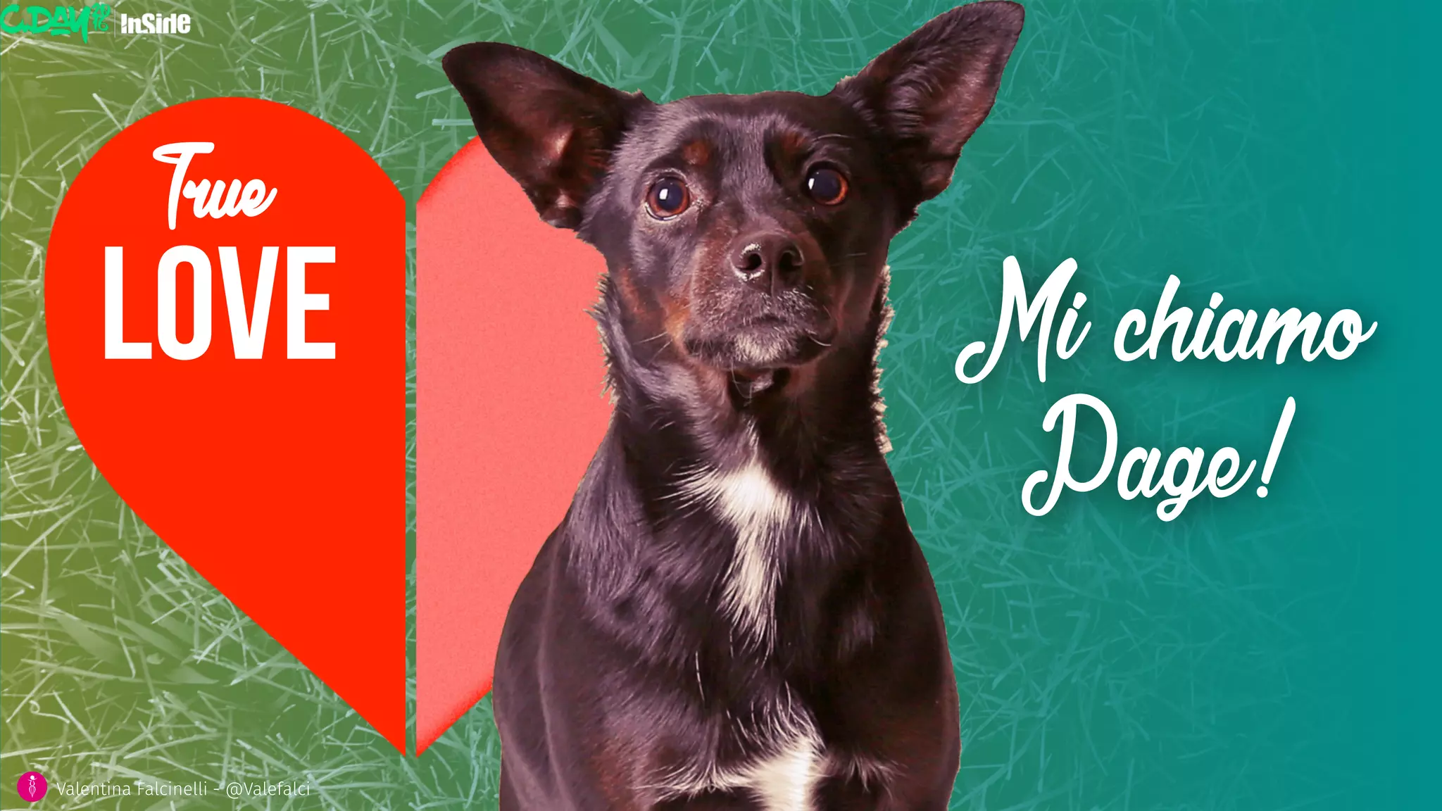 love
True
Mi chiamo
Page!
Valentina Falcinelli - @Valefalci
 