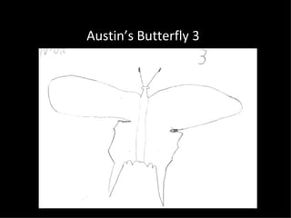 Austin’s Butterfly 3
 
