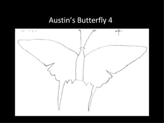 Austin’s Butterfly 4
 