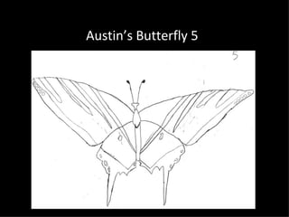 Austin’s Butterfly 5
 