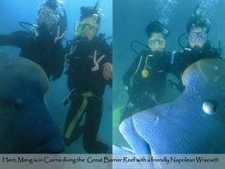 Here, Meng is in Cairns diving the Great Barrier Reef with a friendly Napolean Wrasse!!!
                                                                                  15
 
