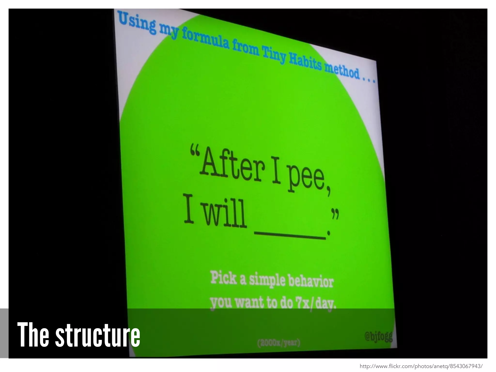 The structure
http://www.flickr.com/photos/anetq/8543067943/
 