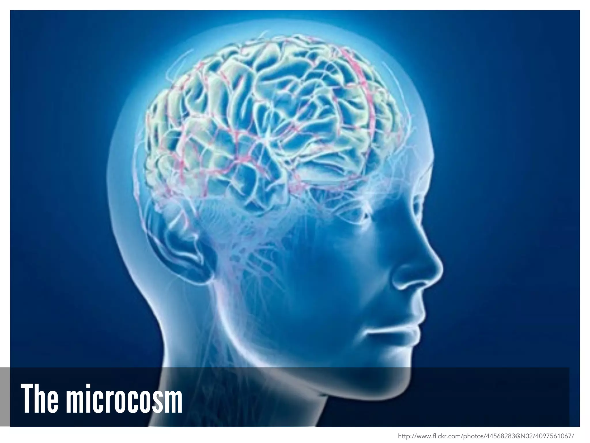 The microcosm
http://www.flickr.com/photos/44568283@N02/4097561067/
 