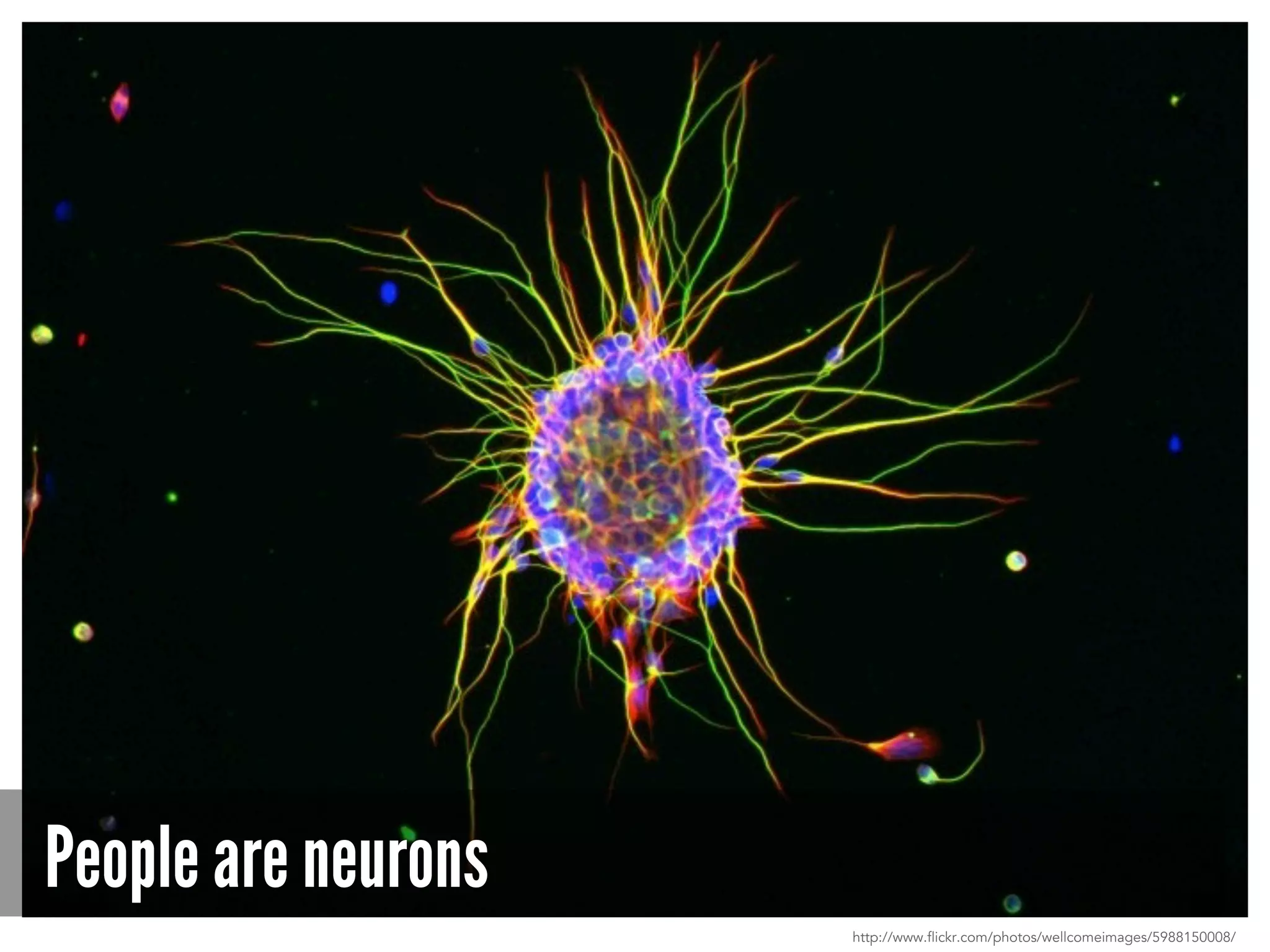 People are neurons
http://www.flickr.com/photos/wellcomeimages/5988150008/
 