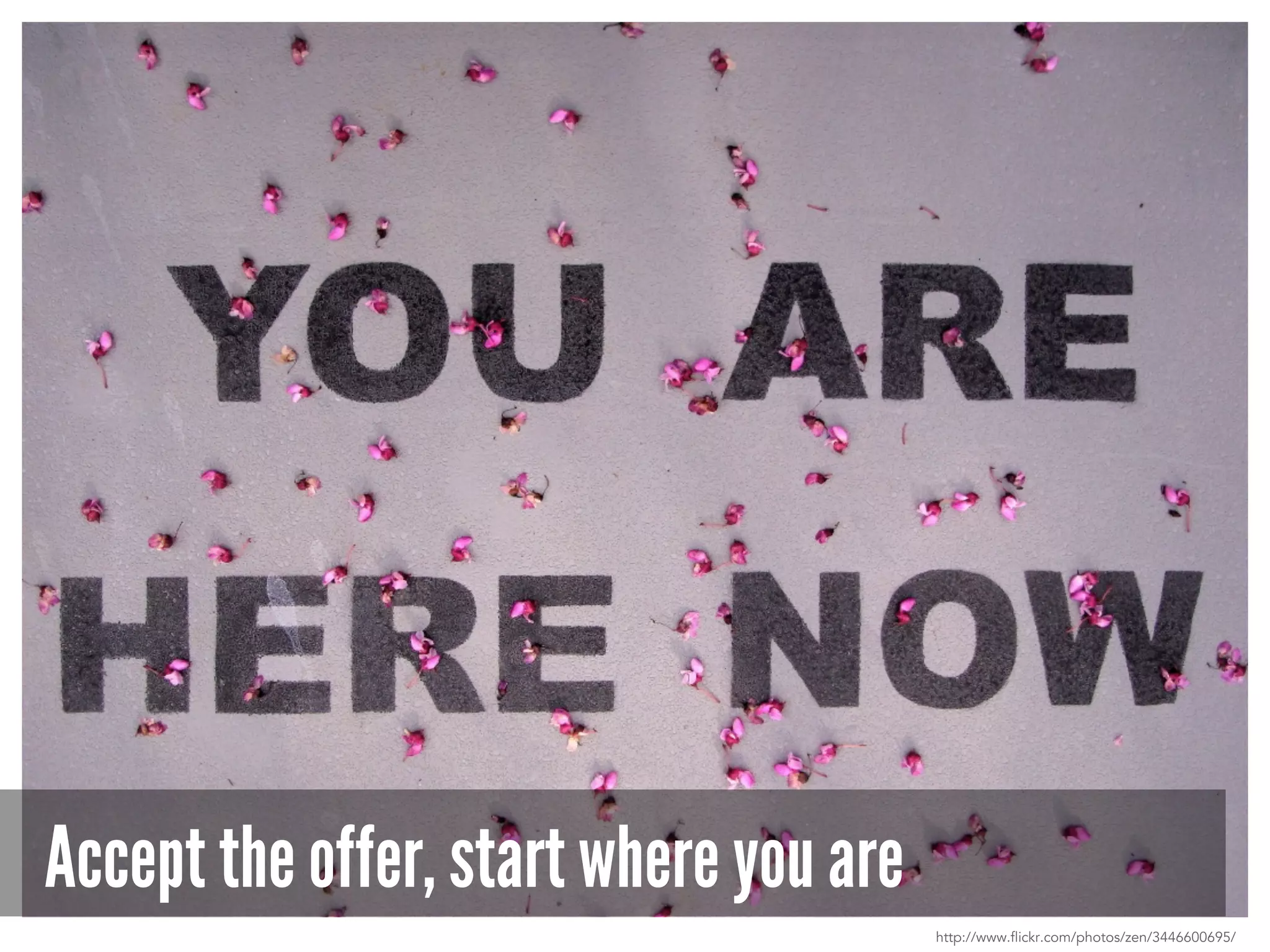 Accept the offer, start where you are
http://www.flickr.com/photos/zen/3446600695/
 