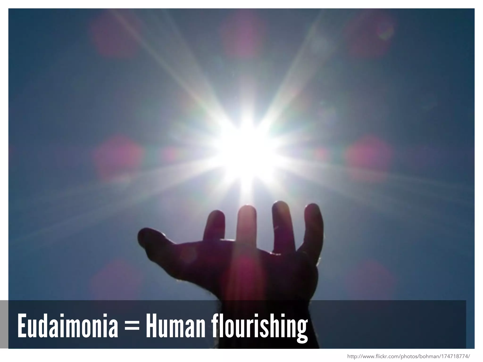 Eudaimonia = Human flourishing
http://www.flickr.com/photos/bohman/174718774/
 
