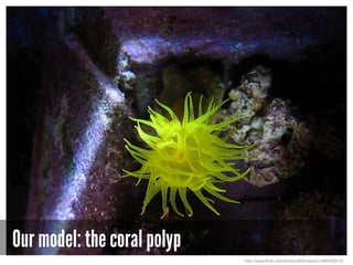 Our model: the coral polyp
http://www.flickr.com/photos/drthompson/3689420515/
 