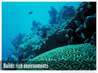 Builds rich environments
http://upload.wikimedia.org/wikipedia/commons/d/de/Coral_Reef.jpg
 