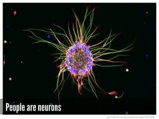People are neurons
http://www.flickr.com/photos/wellcomeimages/5988150008/
 