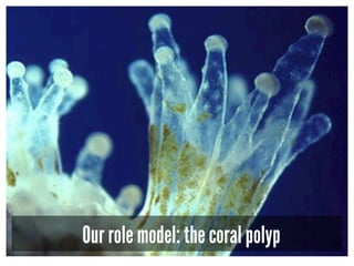 Our role model: the coral polyp
 