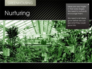 Ideas are very fragile
in their early stages.
We need to nurture &
encourage them.

We need to let ideas
grow before we can
see what they could
grow into
 