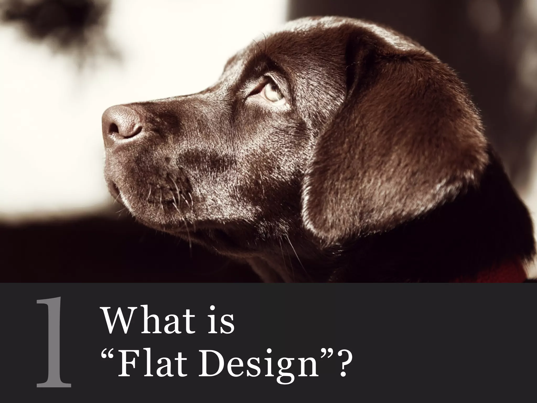 What is
“Flat Design”?１
 