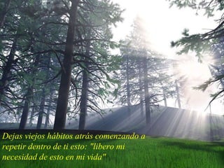 Dejas viejos hábitos atrás comenzando a repetir dentro de ti esto: "libero mi necesidad de esto en mi vida"  