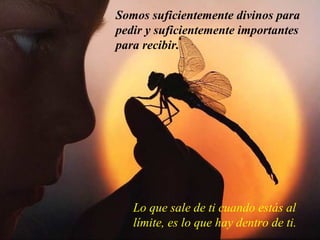 Somos suficientemente divinos para pedir y suficientemente importantes para recibir. Lo que sale de ti cuando estás al límite, es lo que hay dentro de ti. 
