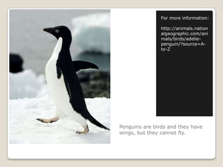 Penguins are birds and they have wings, but they cannot fly.For more information:http://animals.nationalgeographic.com/animals/birds/adelie-penguin/?source=A-to-Z
