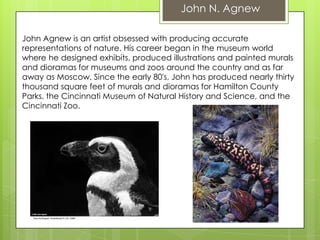 John N. Agnew

John Agnew is an artist obsessed with producing accurate
representations of nature. His career began in the museum world
where he designed exhibits, produced illustrations and painted murals
and dioramas for museums and zoos around the country and as far
away as Moscow. Since the early 80's, John has produced nearly thirty
thousand square feet of murals and dioramas for Hamilton County
Parks, the Cincinnati Museum of Natural History and Science, and the
Cincinnati Zoo.
 