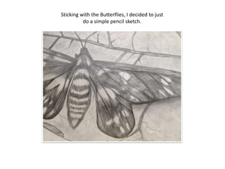 Sticking with the Butterflies, I decided to just
          do a simple pencil sketch.
 