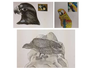 Creature sketchbook pages