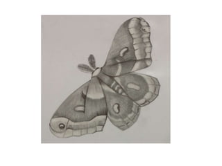 Creature sketchbook pages