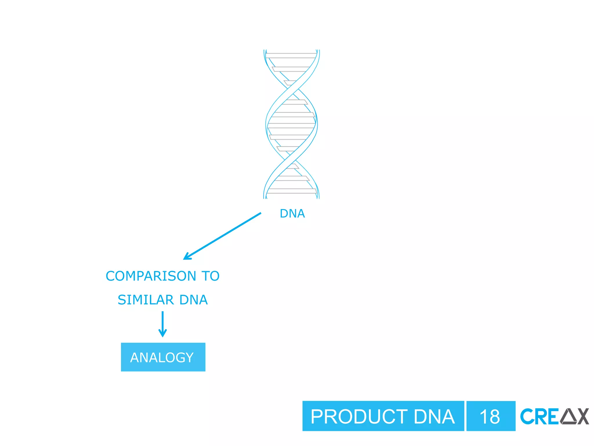 DNA
COMPARISON TO
SIMILAR DNA
ANALOGY
PRODUCT DNA 18
 