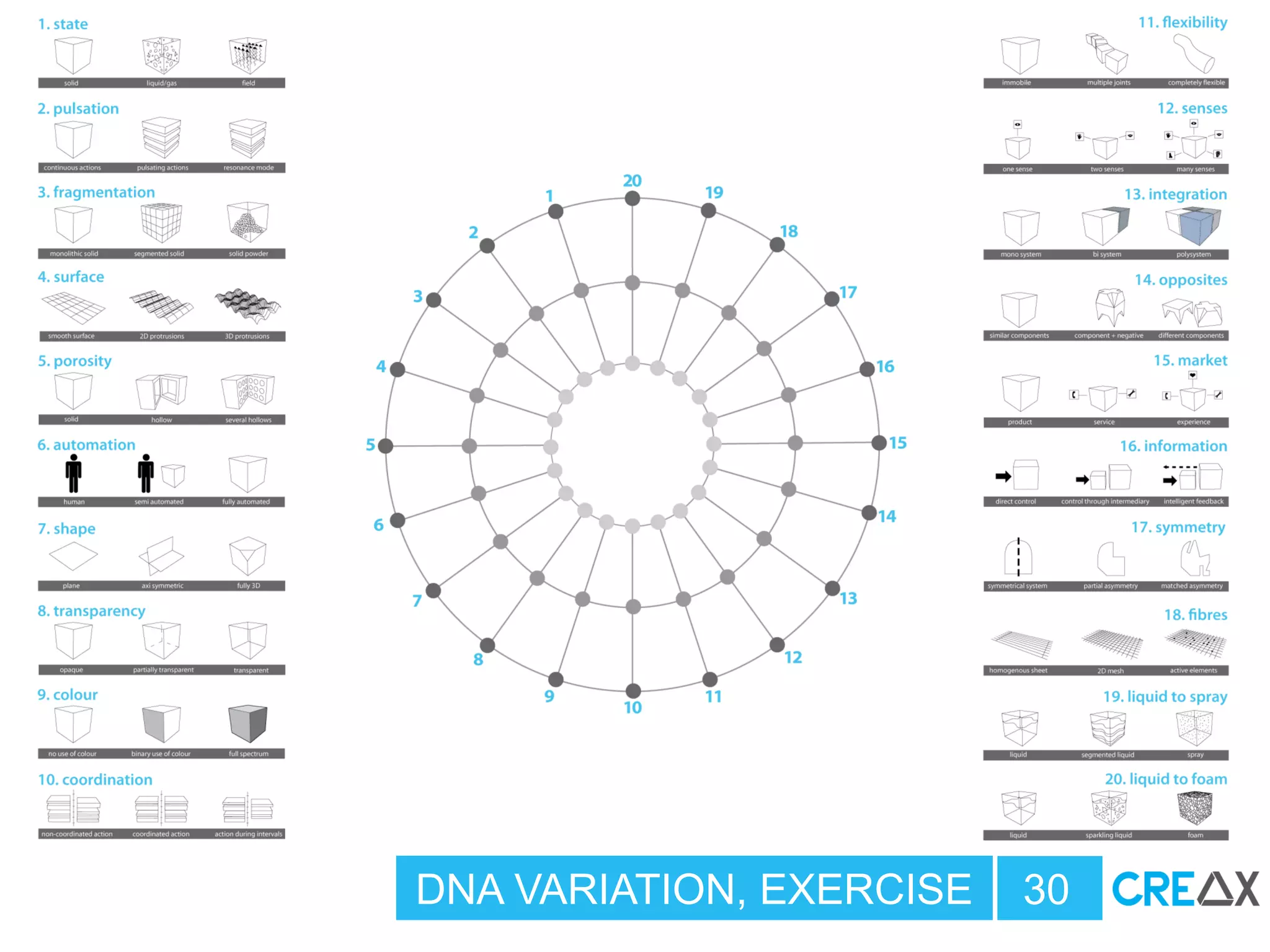 DNA VARIATION, EXERCISE 30
 