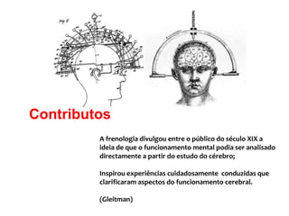 ContributosA frenologia divulgou entre o público do século XIX a ideia de que o funcionamento mental podia ser analisado   directamente a partir do estudo do cérebro;Inspirou experiências cuidadosamente  conduzidas que clarificaram aspectos do funcionamento cerebral.(Gleitman)