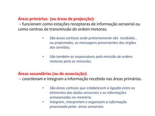 as relações menos claras referem-se às áreas do córtex associativo ou áreas secundárias, psicossensoriais ou de associação  que implicam um processamento de informação de nível mais complexo. Áreas primárias:  (ou áreas de projecção): -- funcionam como estações receptoras de informação sensorial ou como centros de transmissão de ordem motoras.São áreas corticais onde primeiramente são  recebidas , ou projectadas, as mensagens provenientes dos órgãos dos sentidos;