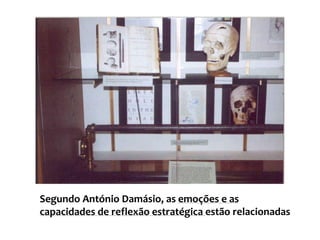 Tem uma relação estreita com e a área de WernickeÁrea associativa  pré-frontal:O córtex pré-frontal é o  grande responsável pelas funções intelectuais superiores, nomeadamente o pensamento abstracto, a atenção e a imaginação, e pelas capacidades de previsão, planificação e tomada de decisão. Sabe-se também que as áreas pré-frontais estabelecem relações com todas as restantes áreas, assumindo uma importante função de coordenação e de integração. 