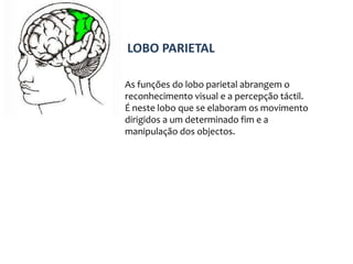 Segundo António Damásio, as emoções e as capacidades de reflexão estratégica estão relacionadas