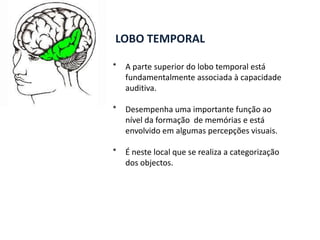 Efeitos de lesõesAs consequências de lesões na zona parietal, tal como sucede com lobo frontal, podem ser várias: incapacidade em concentrar-se em mais que um objecto de cada  vez ou em nomear um objecto (anomia); 