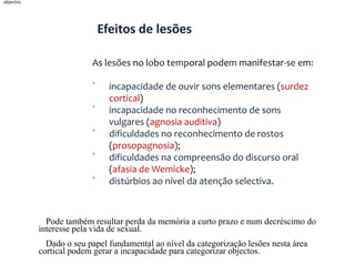 LOBO TEMPORALA parte superior do lobo temporal está fundamentalmente associada à capacidade auditiva. 