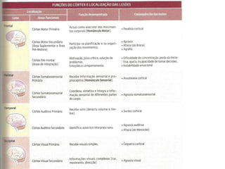É neste local que se realiza a categorização dos objectos. Na fronteira do lobo temporal com os lobos occipital e parietal , situa-se a área de WERNICKE.É a área auditiva da linguagem.