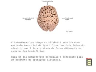 objectos. Efeitos de lesõesAs lesões no lobo temporal podem manifestar-se em:incapacidade de ouvir sons elementares (surdez cortical)
