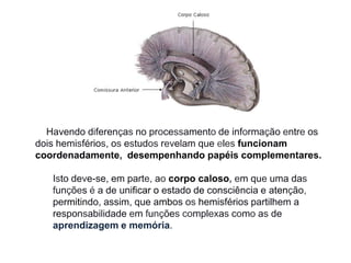 dificuldades na compreensão do discurso oral (afasia de Wemicke); 