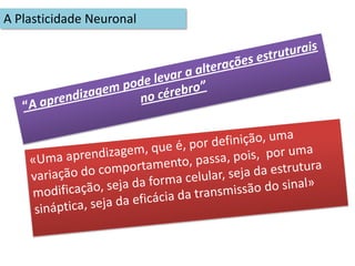 Lateralização hemisférica1. Organização do cérebro em dois hemisférios, tendo cada hemisfério a seu cargo os acontecimentos motores  e sensoriais que ocorrem na metade oposta do corpo.2. O cérebro humano distingue-se pelo desenvolvimento de funções diferentes no hemisfério direito e no hemisfério esquerdo, sendo essa a marca mais espectacular do processo evolutivo.
