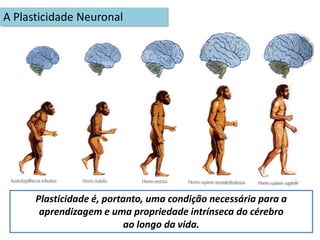 Posição das partes do corpo durante o movimento; 