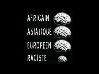 Linguagem: função de utilizar peças de informação que se combinam e que se analisam nos seus elementos constituintes.Havendo diferenças no processamento de informação entre os dois hemisférios, os estudos revelam que eles funcionam coordenadamente,  desempenhando papéis complementares.Isto deve-se, em parte, ao corpo caloso, em que uma das funções é a de unificar o estado de consciência e atenção, permitindo, assim, que ambos os hemisférios partilhem a responsabilidade em funções complexas como as de aprendizagem e memória. 