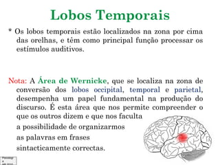 Lobos Temporais
* Os lobos temporais estão localizados na zona por cima
das orelhas, e têm como principal função processar os
estímulos auditivos.

Nota: A Área de Wernicke, que se localiza na zona de
conversão dos lobos occipital, temporal e parietal,
desempenha um papel fundamental na produção do
discurso. É esta área que nos permite compreender o
que os outros dizem e que nos faculta
a possibilidade de organizarmos
as palavras em frases
sintacticamente correctas.
Psicologi
a

 