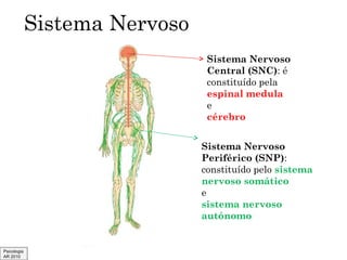 Sistema Nervoso
Sistema Nervoso
Central (SNC): é
constituído pela
espinal medula
e
cérebro
Sistema Nervoso
Periférico (SNP):
constituído pelo sistema
nervoso somático
e
sistema nervoso
autónomo

Psicologia
AR 2010

 