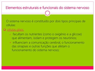 Elementos estruturais e funcionais do sistema nervoso
O sistema nervoso é constituído por dois tipos principais de
células:
 células gliais:
 facultam os nutrientes (como o oxigénio e a glicose)
que alimentam, isolam e protegem os neurónios;
 influenciam a comunicação cerebral, o funcionamento
das sinapses e outras funções que afetam o
funcionamento do sistema nervoso;
 