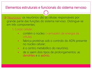 Elementos estruturais e funcionais do sistema nervoso
 Neurónios: os neurónios são as células responsáveis por
grande parte das funções do sistema nervoso. Distingue-se
em três componentes:
1. Corpo celular:
 contém o núcleo (=armazém de energia da
célula);
 fabrica proteínas sob o controlo do ADN presente
no núcleo celular;
 é o centro metabólico do neurónio;
 de si saem dois tipos de prolongamentos: as
dendrites e o axónio.
 