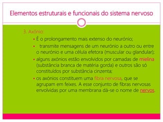 Elementos estruturais e funcionais do sistema nervoso
3. Axónio:
 É o prolongamento mais extenso do neurónio;
 transmite mensagens de um neurónio a outro ou entre
o neurónio e uma célula efetora (muscular ou glandular);
 alguns axónios estão envolvidos por camadas de mielina
(substância branca de matéria gorda) e outros são só
constituídos por substância cinzenta;
 os axónios constituem uma fibra nervosa, que se
agrupam em feixes. A esse conjunto de fibras nervosas
envolvidas por uma membrana dá-se o nome de nervos.
 