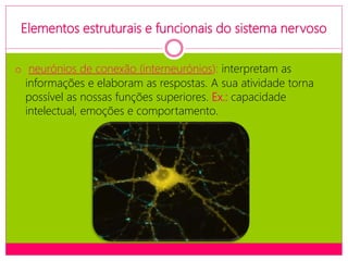 Elementos estruturais e funcionais do sistema nervoso
o neurónios de conexão (interneurónios): interpretam as
informações e elaboram as respostas. A sua atividade torna
possível as nossas funções superiores. Ex.: capacidade
intelectual, emoções e comportamento.
 