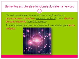 Elementos estruturais e funcionais do sistema nervoso
Na sinapse estabelece-se uma comunicação entre um
prolongamento do axónio (neurónio emissor) com a dendrite
do outro neurónio (neurónio recetor).
As membranas dos dois neurónios estão separadas pela fenda
sináptica.
 